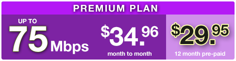 Premium Plan
